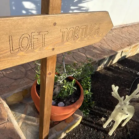 Tatil Evi Loft Tortuga