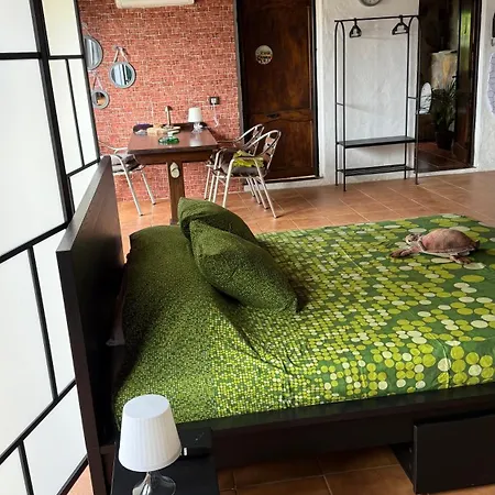 Tatil Evi Loft Tortuga Tinajo