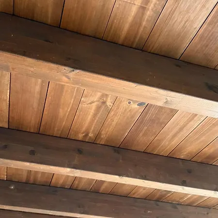 Loft Tortuga Tinajo