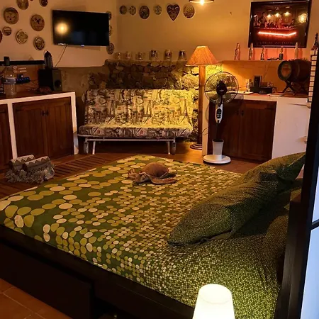 Loft Tortuga Tinajo