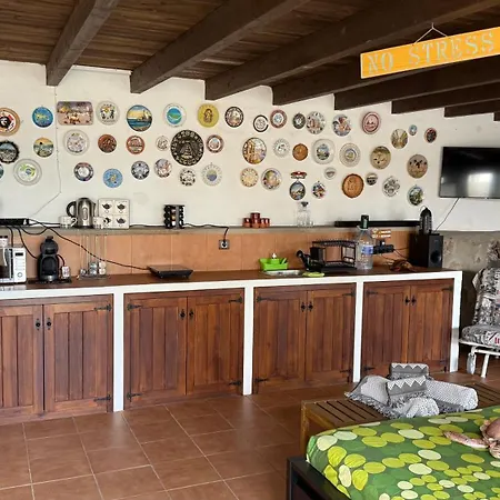 Loft Tortuga *