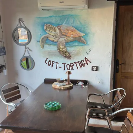 Semesterbostad Loft Tortuga *