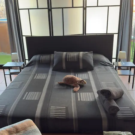 Loft Tortuga Tinajo