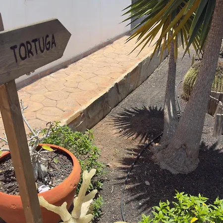 Loft Tortuga