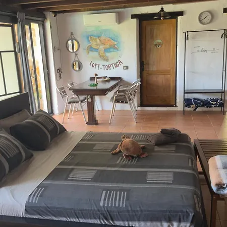 Loft Tortuga * Tinajo