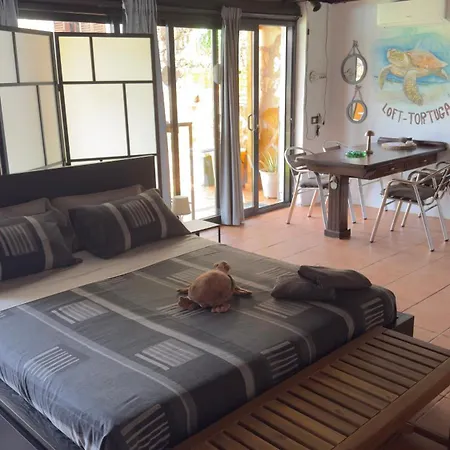 Vakantiehuis Loft Tortuga Tinajo