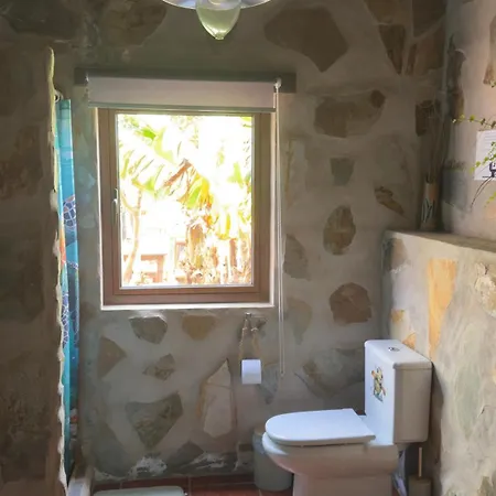 Loft Tortuga