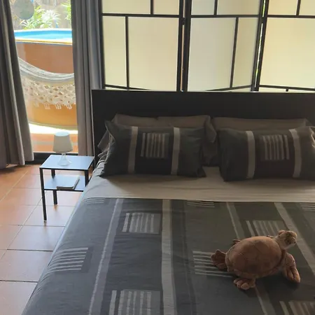 Loft Tortuga