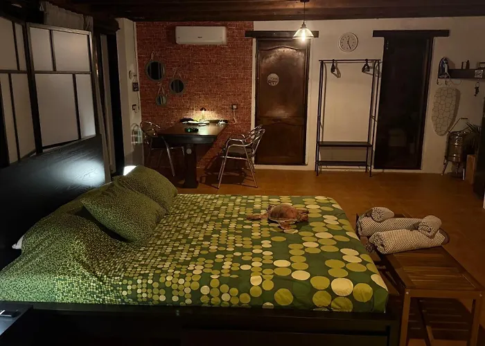 Loft Tortuga בית נופש *