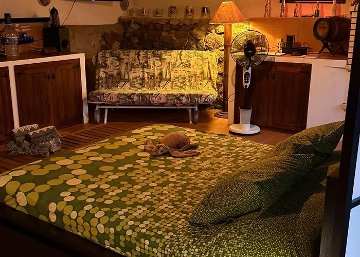 Loft Tortuga ティナホ