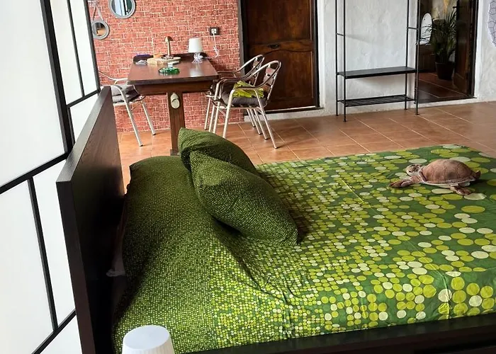 Vakantiehuis Loft Tortuga Tinajo